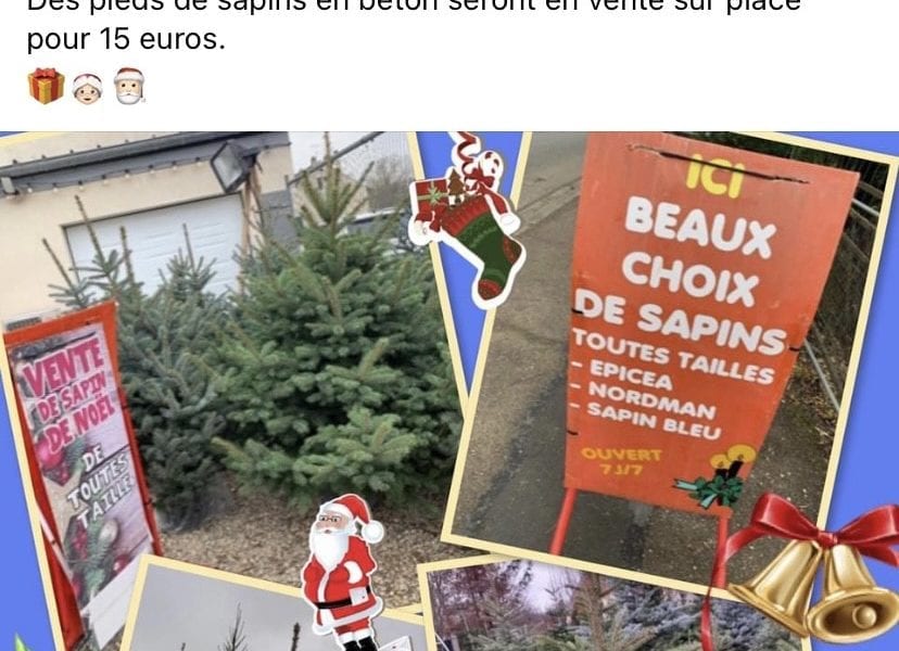 Vente sapins de Noël aux Etals
